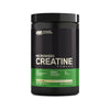 Optimum Nutrition Micronized Creatine